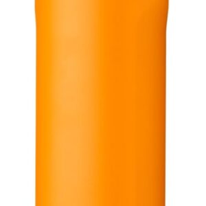 FreeSip Insulated Stainless Steel Water Bottle with Straw for Sports and Travel, BPA-Free, 24-oz, Orchid/Orange (Tropical)